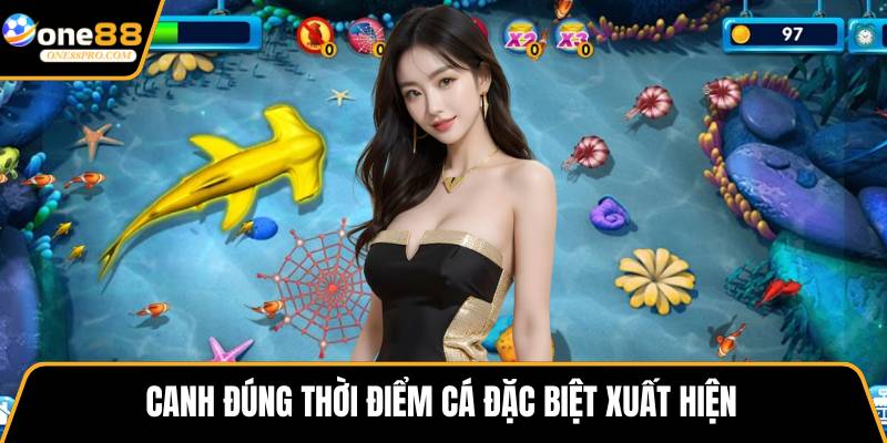 Canh đúng thời điểm cá đặc biệt xuất hiện